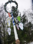 MeiBaum Wettbewerb