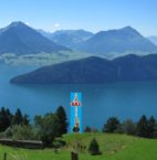 meibaum-am-vierwaldstätter-see