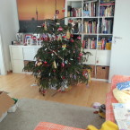 PeLe_Christbaum-MeiBaum (1)
